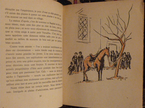 Le Parcours du Haut Rhône ou la Julienne et l'ail Sauvage, texte et croquis pris sur la route. Cingria, Charles-Albert et Monnier, Paul 
