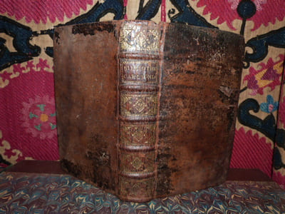 Bibliotheca Carlsoniana, Catalogue de vente.