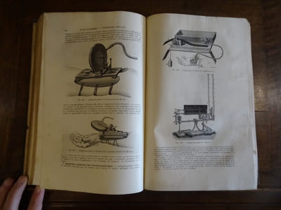 Nouveaux éléments de physiologie humaine comprenant les principes de la physiologie comparée et de la physiologie générale.