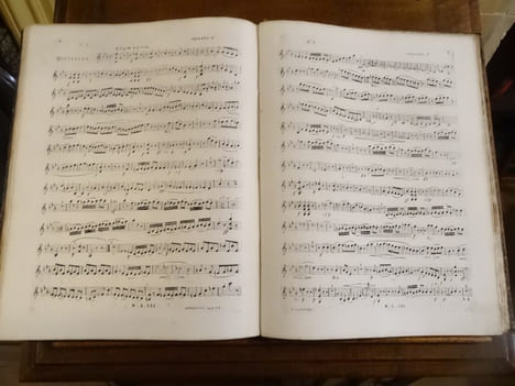 Collection complète des quintetti, quatuors et trios composés pour instrumens à cordes.
. Beethoven, Ludwig van
