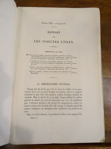 Les Insectes Utiles. Rapport du Jury International. Groupe Viii, classe 83.