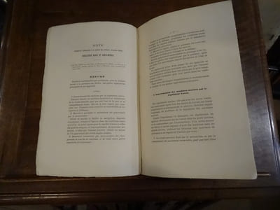 Etude historique et comparative du servo-moteur Farcot et de ses applications.
