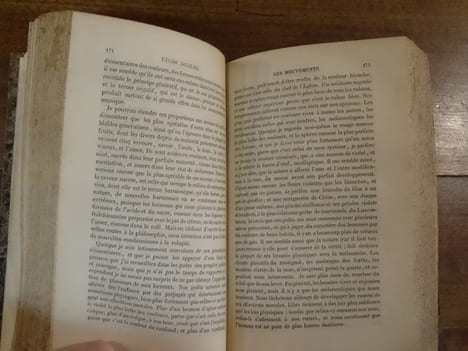 Études de la Nature. Bernardin de Saint-Pierre