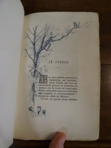 Les nouvelles amoureuses. Le Prince.