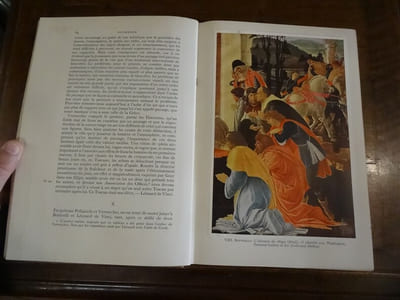 Les Peintres italiens de la Renaissance.

