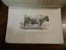 Concours d'animaux de boucherie en 1853, à Bordeaux, Nîmes, Lyon, Lille, Nantes et Poissy. Compte rendu des opérations des concours et du rendement ...