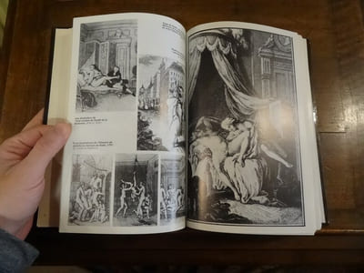 Histoire de la littérature érotique.