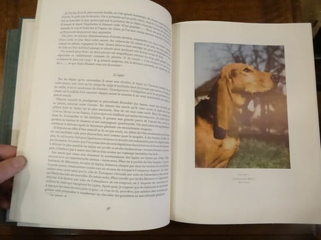 Le Grand livre de la Chasse et de la nature.. undefined