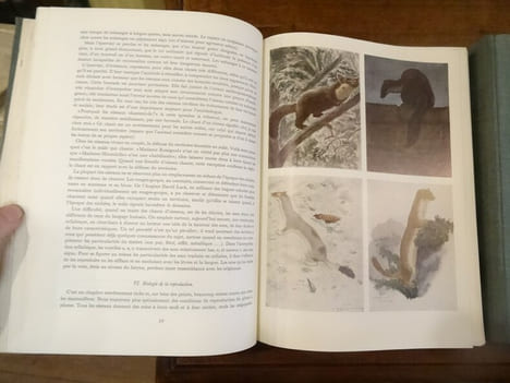 Le Grand livre de la Chasse et de la nature.. undefined