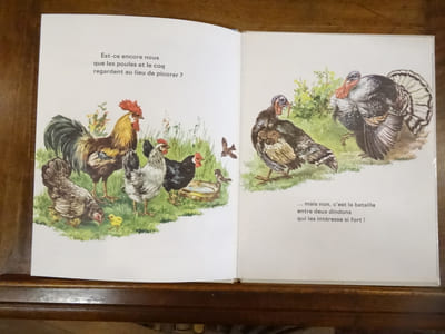 Une Visite à la Ferme