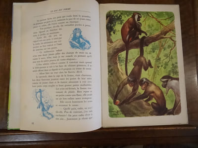 [Enfantina, Jeunesse] Les Animaux.Illustrations de Henry Monnier.

