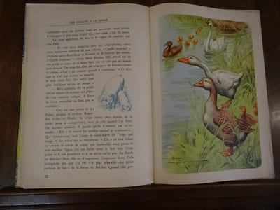 [Enfantina, Jeunesse] Les Animaux.Illustrations de Henry Monnier.

