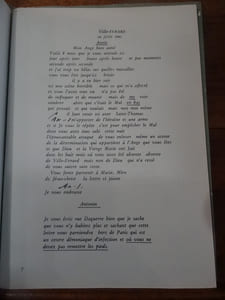 Lettres à Anie Besnard. Etablissement du texte, justification de la chronologie, par Françoise Buisson.