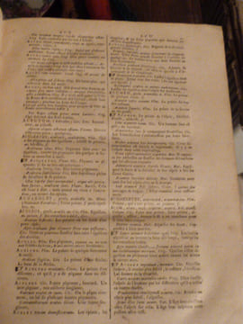 Magnum Dictionarium Latinum et Gallicum ad pleniorem planioremque, scriptorum latinorum intelligentiam, collegit, digessit, ac nostro vernaculo ...