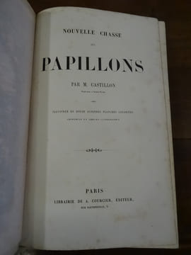 Nouvelle chasse aux papillons.. Castillon.