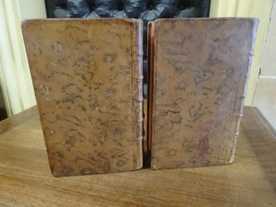 Anecdotes des Républiques, auxquelles on a joint la Savoye, la Hongrie, et la Bohême. Première partie, comprenant Gènes & la Corse, Venise & Malthe, & la Suisse. Seconde partie, comprenant la Flandre & la Hollande, la Savoye, la Hongrie & la Bohême.