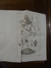 Flore des jeunes personnes, ou lettres élémentaires sur la botanique écrites par une anglaise à son amieet traduite de l'anglais par Octave de Ségur. ...