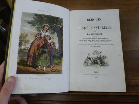 Histoire naturelle pour la jeunesse, contenant l'histoire abrégée des animaux: quadrupèdes, oiseaux, poissons, reptiles, insectes. Des plantes, fleurs ...