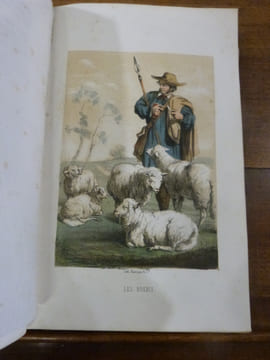 Histoire naturelle pour la jeunesse, contenant l'histoire abrégée des animaux: quadrupèdes, oiseaux, poissons, reptiles, insectes. Des plantes, fleurs ...