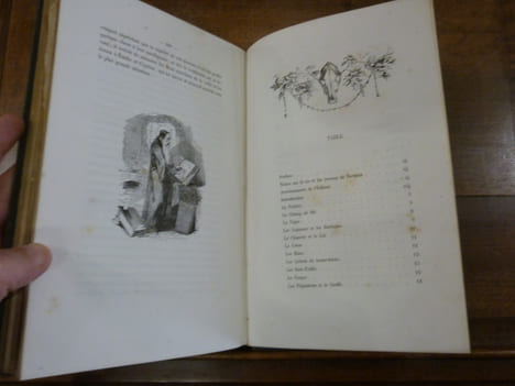 Histoire naturelle pour la jeunesse, contenant l'histoire abrégée des animaux: quadrupèdes, oiseaux, poissons, reptiles, insectes. Des plantes, fleurs ...