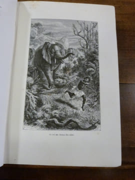 La Terre de servitude. Ouvrage traduit de l'anglais avec l'autorisation de l'auteur par J. Levoisin.
. Stanley, Henry.