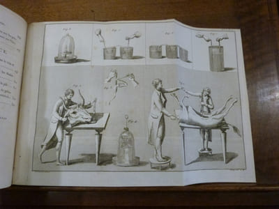 Essai théorique et expérimental sur le galvanisme, avec une série d'expériences faites en présence des commissaires de l'institut national de France, et en divers amphithéatres anatomiques de Londres.