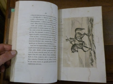Relation d'un Voyage d'Exploration au nord-est de la colonie cu cap de bonne Espérance.Entrepris dans les mois de Mars, avril et mai 1836.. Arbousset ...