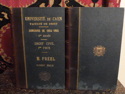 Traité théorique et pratique de droit civil. Des successions.