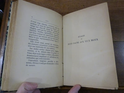 Contes. Xanthis, Divine Bontemps, Hyalis, Rovère et Angisèle.