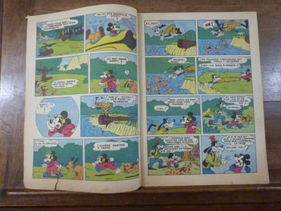 Mickey et Pluto chez les Termites.
