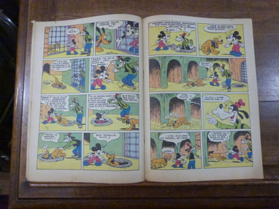 Mickey et Pluto chez les Termites.
