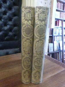 Caledonia illustrated in a series of views taken expressly for the work, by W.H. Bartlett, T. Allom, and others.