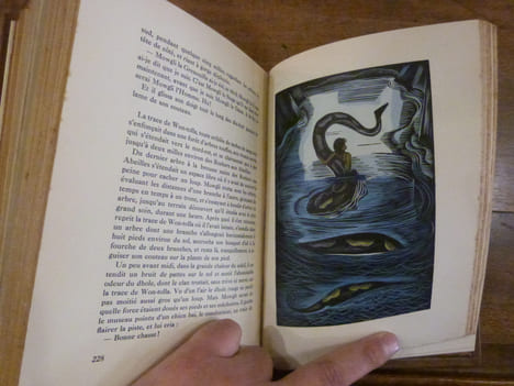 Le Livre de la Jungle et le second livre de la Jungle.. Kipling, Rudyard