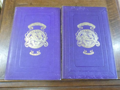 Magasin d'éducation et de récréation et semaine des enfants réunis. Journal de toute la famille fondé par P.-J. Stahl. Tomes LI, LII année complète ...