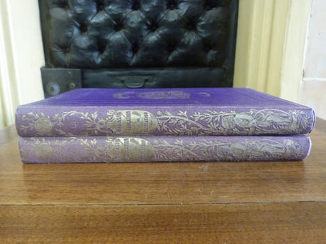 Magasin d'éducation et de récréation et semaine des enfants réunis. Journal de toute la famille fondé par P.-J. Stahl. Tomes LI, LII année complète ...