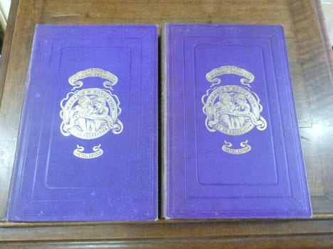 Magasin d'éducation et de récréation et semaine des enfants réunis. Journal de toute la famille fondé par P.-J. Stahl.  Tomes 47 et 48, année 1888 ...
