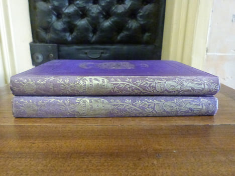 Magasin d'éducation et de récréation et semaine des enfants réunis. Journal de toute la famille fondé par P.-J. Stahl.  Tomes 47 et 48, année 1888 ...