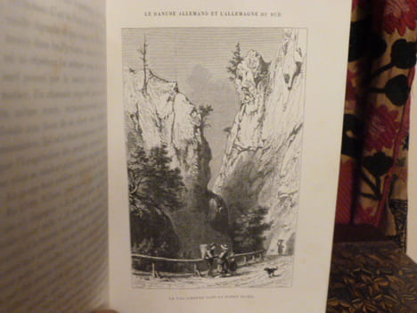 Le Danube allemand et l'Allemagne du Sud, voyage dans la forêt noire, la Bavière, l'Autriche, la Bohème, la Hongrie, l'Istrie, le Vénétie et le ...