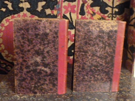Louis XVII, sa vie, son agonie, sa mort; captivité de la famille royale au temple; septième édition enrichie d'autographes, de portraits et de plans ...