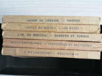 Méditations, Tendresses et Solitudes, Sonnets et Poèmes, les Nuits, Poésies