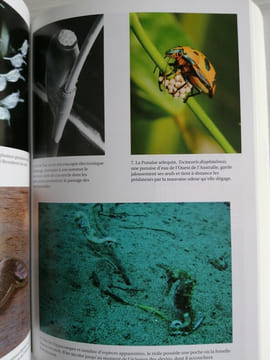 Les Jeux de l'Amour, du Hasard et de la Mort - Comportement Animal et Evolution. GALAND Paul