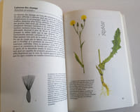 Plantes des Champs et des Forets
