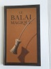 Le Balai Magique. VAN ALLBURG Chris