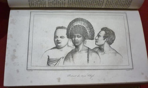 Océanie ou Cinquième partie du Monde. Revue géographique et ethnographique de la Malaisie, de la Micronésie, de la Polynésie et de la Mélanésie ; Offrant les résultats des Voyages et des Découvertes de l'auteur et de ses Devanciers, ainsi que ses nouvelles classifications et divisions de ces contrées, par M.G.L. DOMENY DE RIENZI (tome troisième, vendu seul).