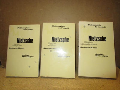 Nietzsche : genèse d'une oeuvre, analyse de la maladie, création et métamorphoses (3 volumes).