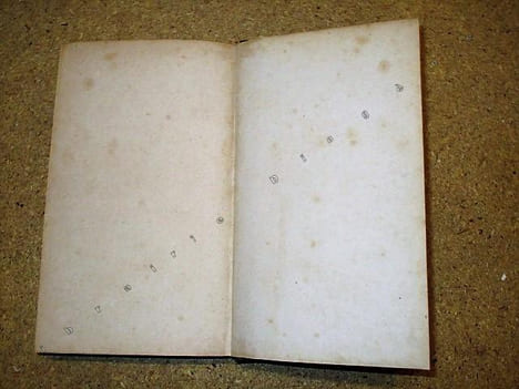 Annales de l'abbaye d'Aiguebelle de l'ordre de Cîteaux (congrégation de N.-D. de la Trappe) depuis sa fondation jusqu'à nos jours (1045-1863) par un ...