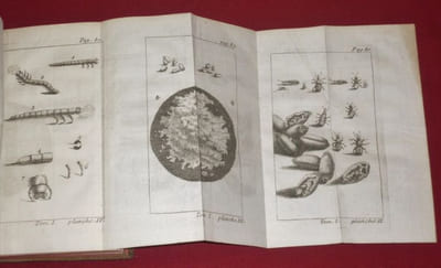 Recueil de Différens (différents)Traités de Physique et d'Histoire Naturelle, propres à perfectionner ces deux Sciences. Troisième Édition, corrigée & augmentée de plusieurs nouveaux Traités (3 volumes).