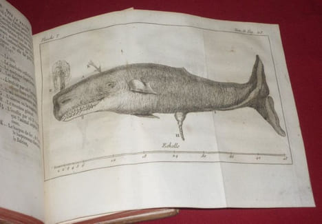 Recueil de Différens (différents)Traités de Physique et d'Histoire Naturelle, propres à perfectionner ces deux Sciences. Troisième Édition, corrigée & ...