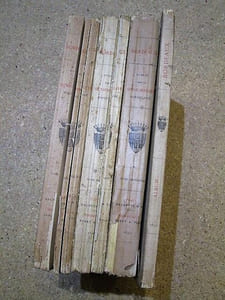 Bordeaux : aperçu historique, sol, population, industrie, commerce, administration (4 volumes).
