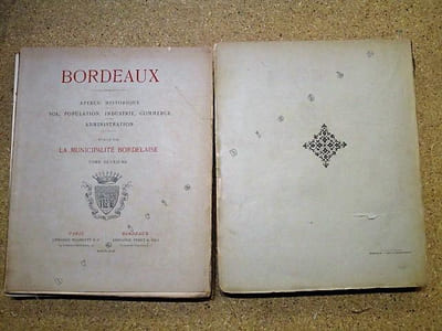 Bordeaux : aperçu historique, sol, population, industrie, commerce, administration (4 volumes).